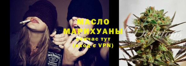 молекула духа Богородицк