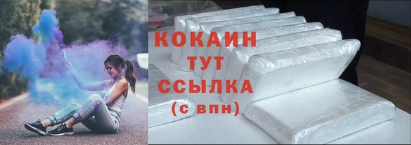 молекула духа Богородицк