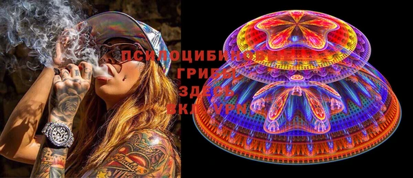 шишки Бронницы