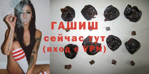 молекула духа Богородицк