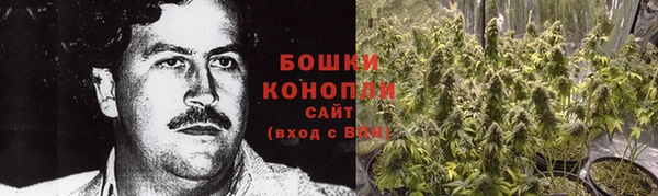 гидропоника Богданович