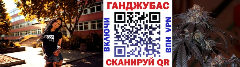 купить наркоту  Кадников  Каннабис сатива 
